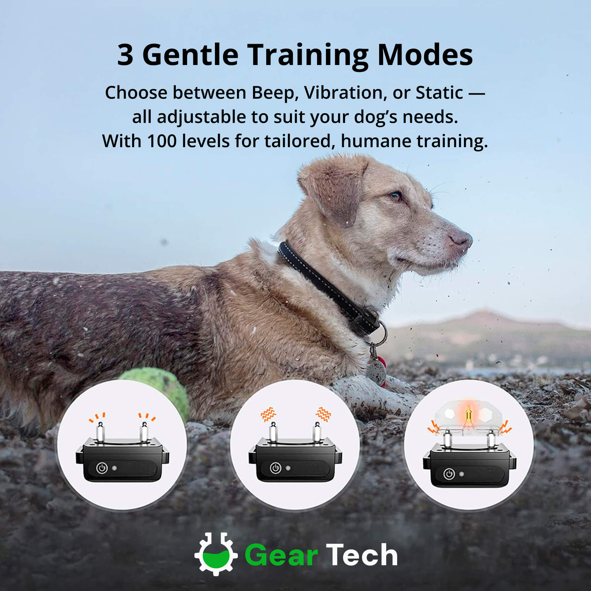 Dog Training Collars | Remote E Collar-Dog Training Collar-Lightsnest