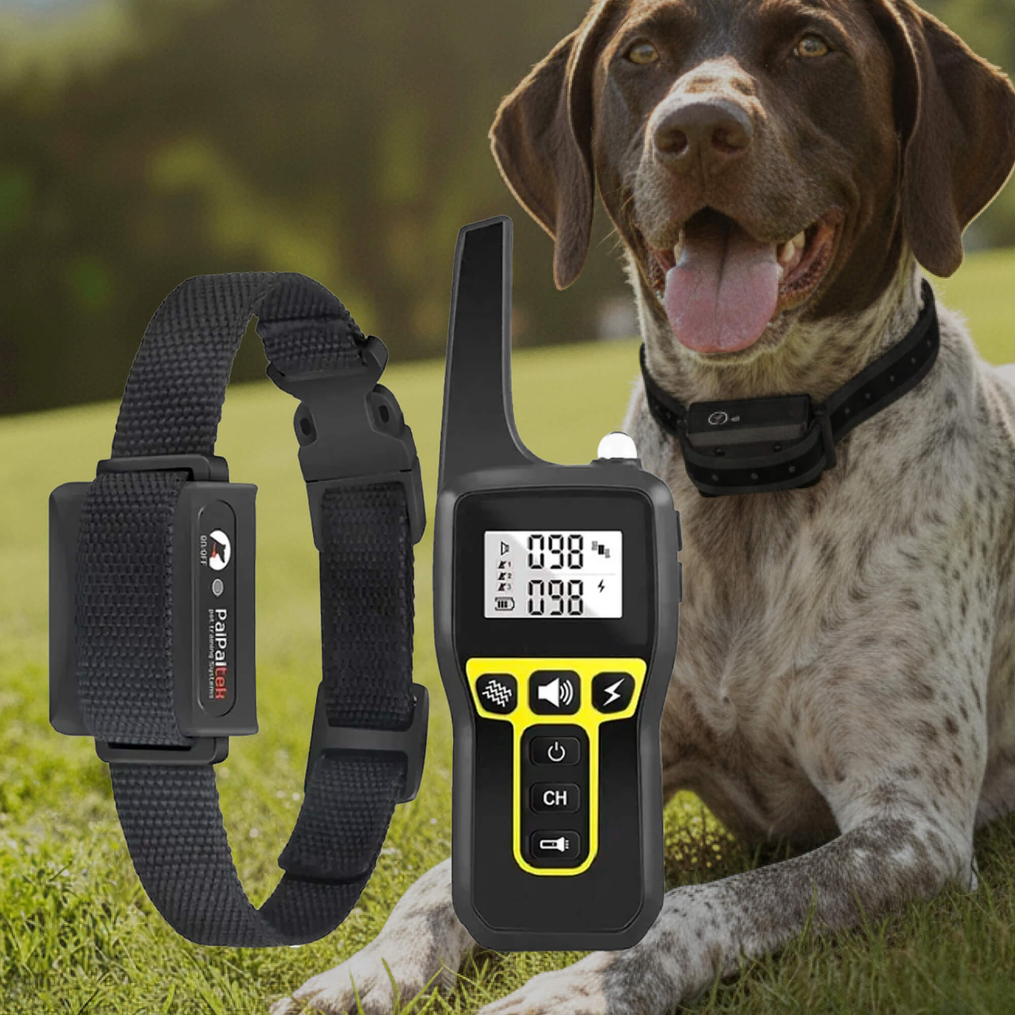 Dog Training Collars | Remote E Collar-Dog Training Collar-Lightsnest