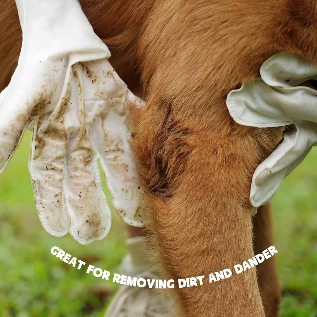 Pet Grooming Gloves | Dog Wipes-Pets Accessories-Lightsnest