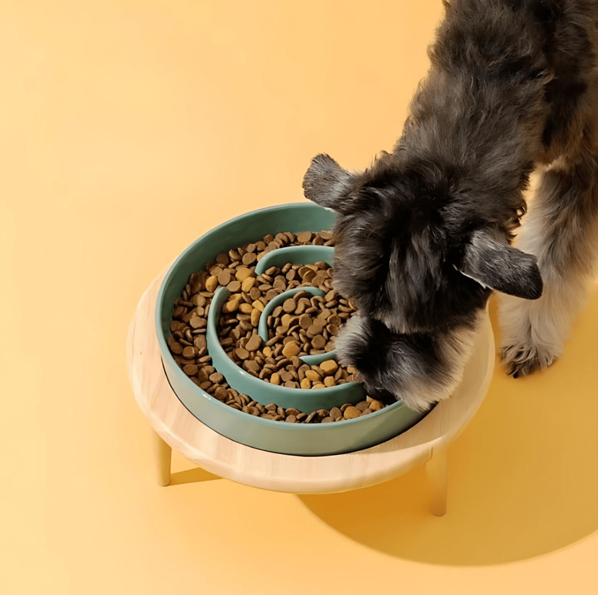 Pet Bowl | Elevated Raised Dog Bowls-Pet Bowl-Lightsnest