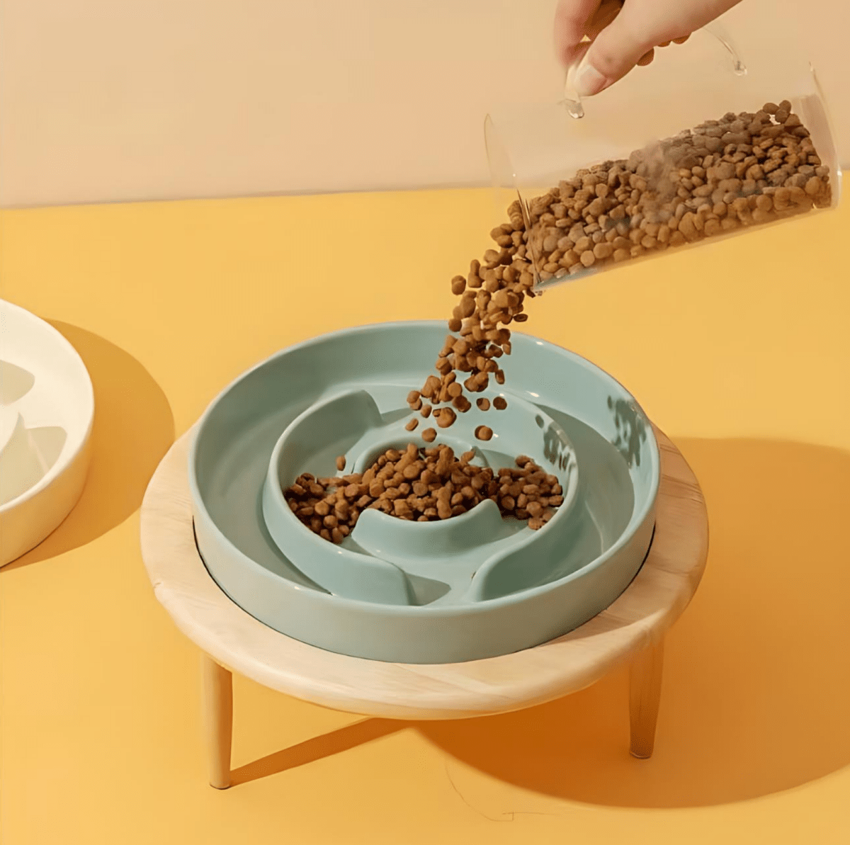 Pet Bowl | Elevated Raised Dog Bowls-Pet Bowl-Lightsnest