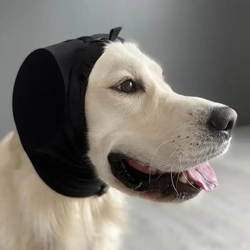 Dog Noise Protection | Dog Ear Protection-Pet Hat-Lightsnest