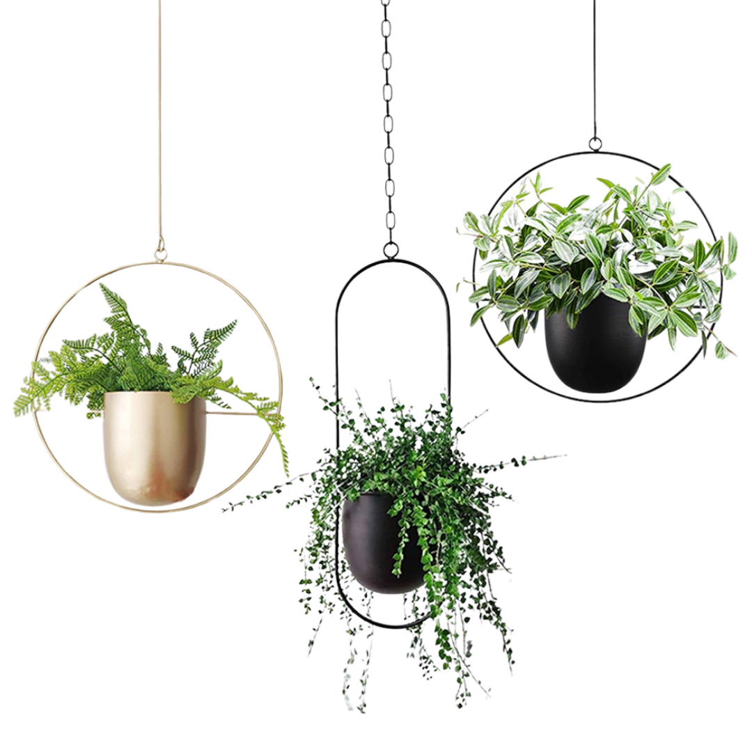 Flower Pot | Hanging Baskets-Flower Pot-Lightsnest