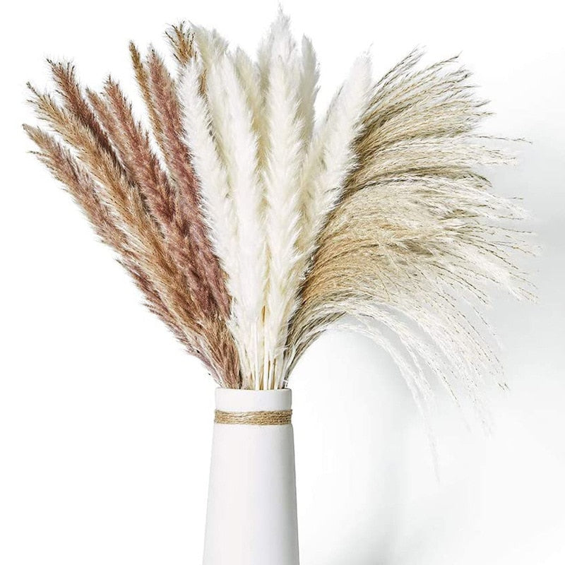 Pampas Grass | Dried Flower Arrangement-Pampas Grass-Lightsnest