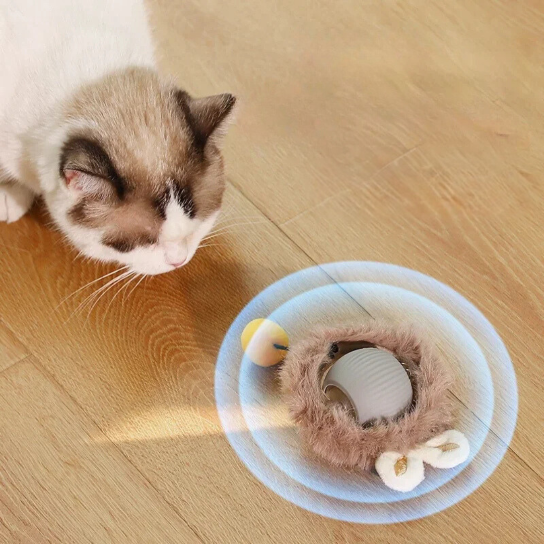 Interactive Cat Toy | Rolling Cat Ball Toy-Cat Toy-Lightsnest