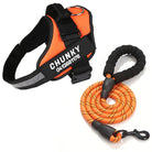 Dog Harness | Small Dog Harness With Handle-Pet Harness-Lightsnest