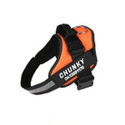 Dog Harness | Small Dog Harness With Handle-Pet Harness-Lightsnest
