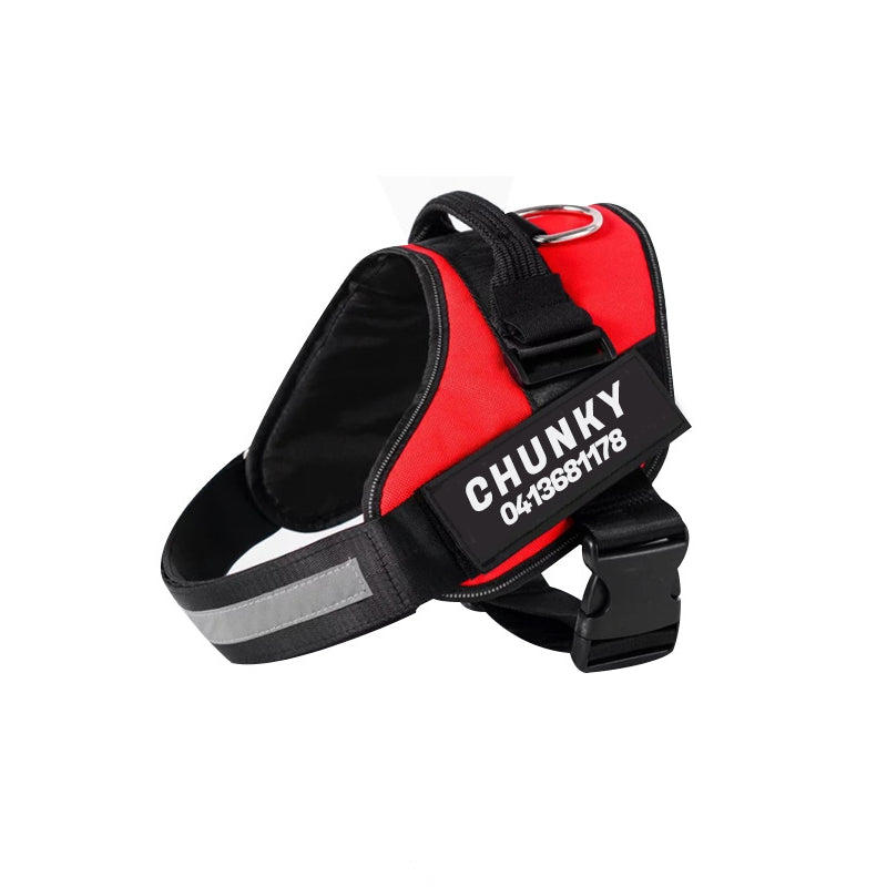 Dog Harness | Small Dog Harness With Handle-Pet Harness-Lightsnest