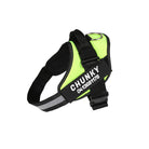 Dog Harness | Small Dog Harness With Handle-Pet Harness-Lightsnest