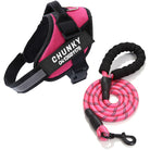 Dog Harness | Small Dog Harness With Handle-Pet Harness-Lightsnest