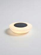 Solar Garden Lights | Outdoor Lights-Outdoor Lights-Lightsnest