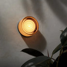 Wall Lamp | Modern Accent Lighting-Wall Light-Lightsnest