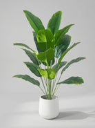 Fake Monstera Plant | Artificial Plants-Artificial Plant-Lightsnest