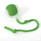 Interactive Cat Toy | Rolling Cat Ball Toy-Cat Toy-Lightsnest
