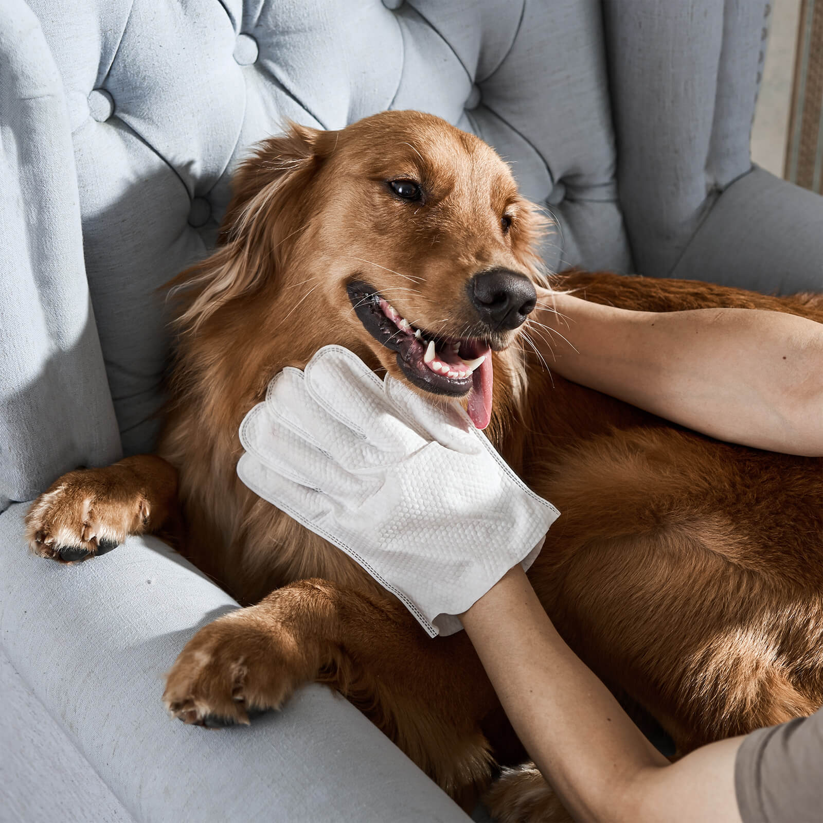 Pet Grooming Gloves | Dog Wipes-Pets Accessories-Lightsnest