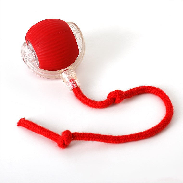 Interactive Cat Toy | Rolling Cat Ball Toy-Cat Toy-Lightsnest