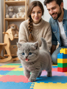 Robot Cat | Interactive Cat Toy-Toy-Lightsnest