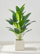 Fake Monstera Plant | Artificial Plants-Artificial Plant-Lightsnest