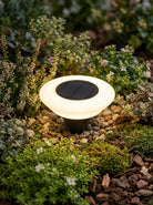 Solar Garden Lights | Outdoor Lights-Outdoor Lights-Lightsnest