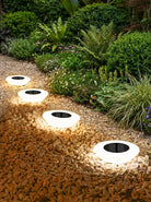 Solar Garden Lights | Outdoor Lights-Outdoor Lights-Lightsnest