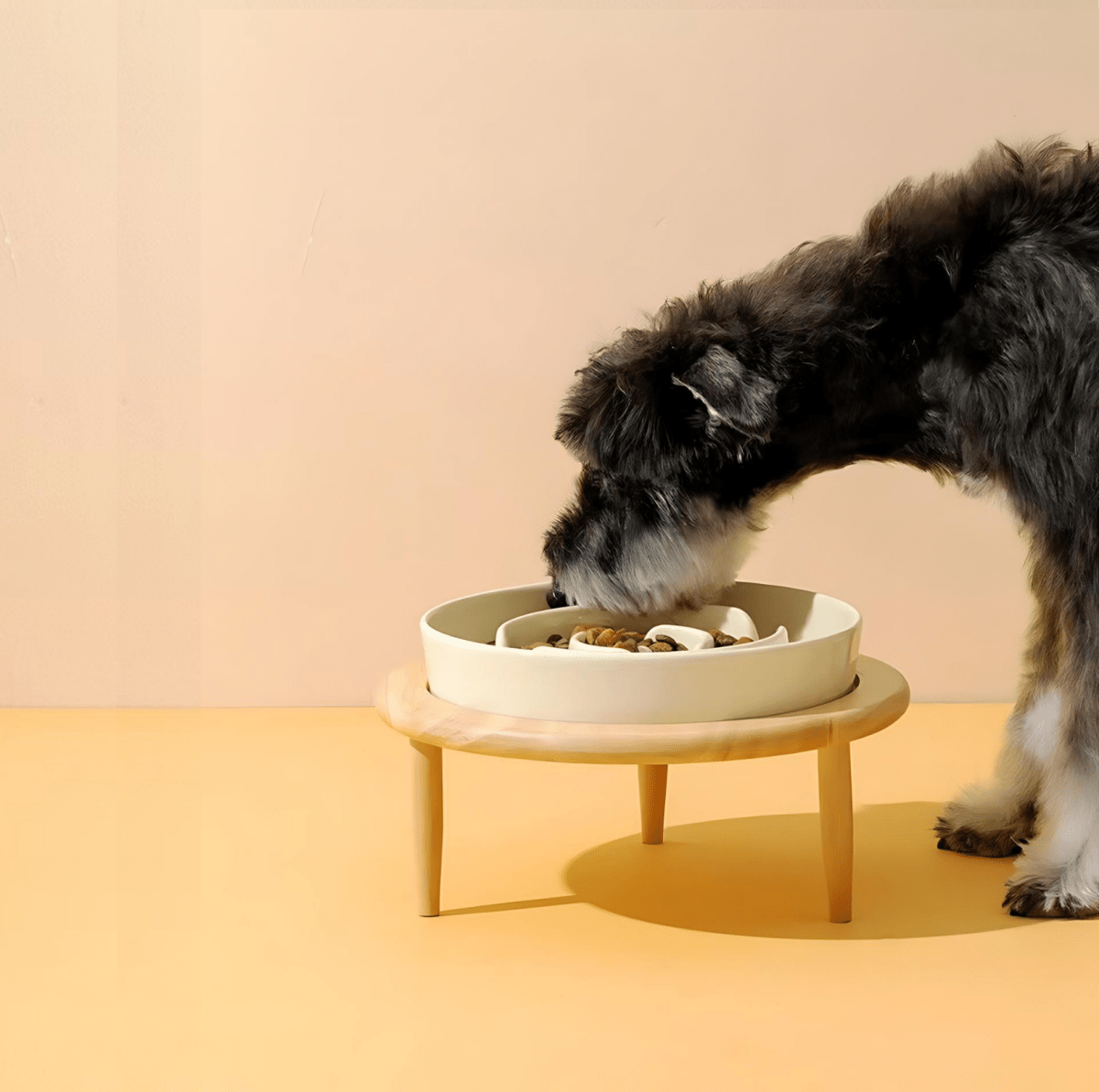 Pet Bowl | Elevated Raised Dog Bowls-Pet Bowl-Lightsnest