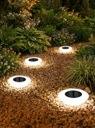 Solar Garden Lights | Outdoor Lights-Outdoor Lights-Lightsnest