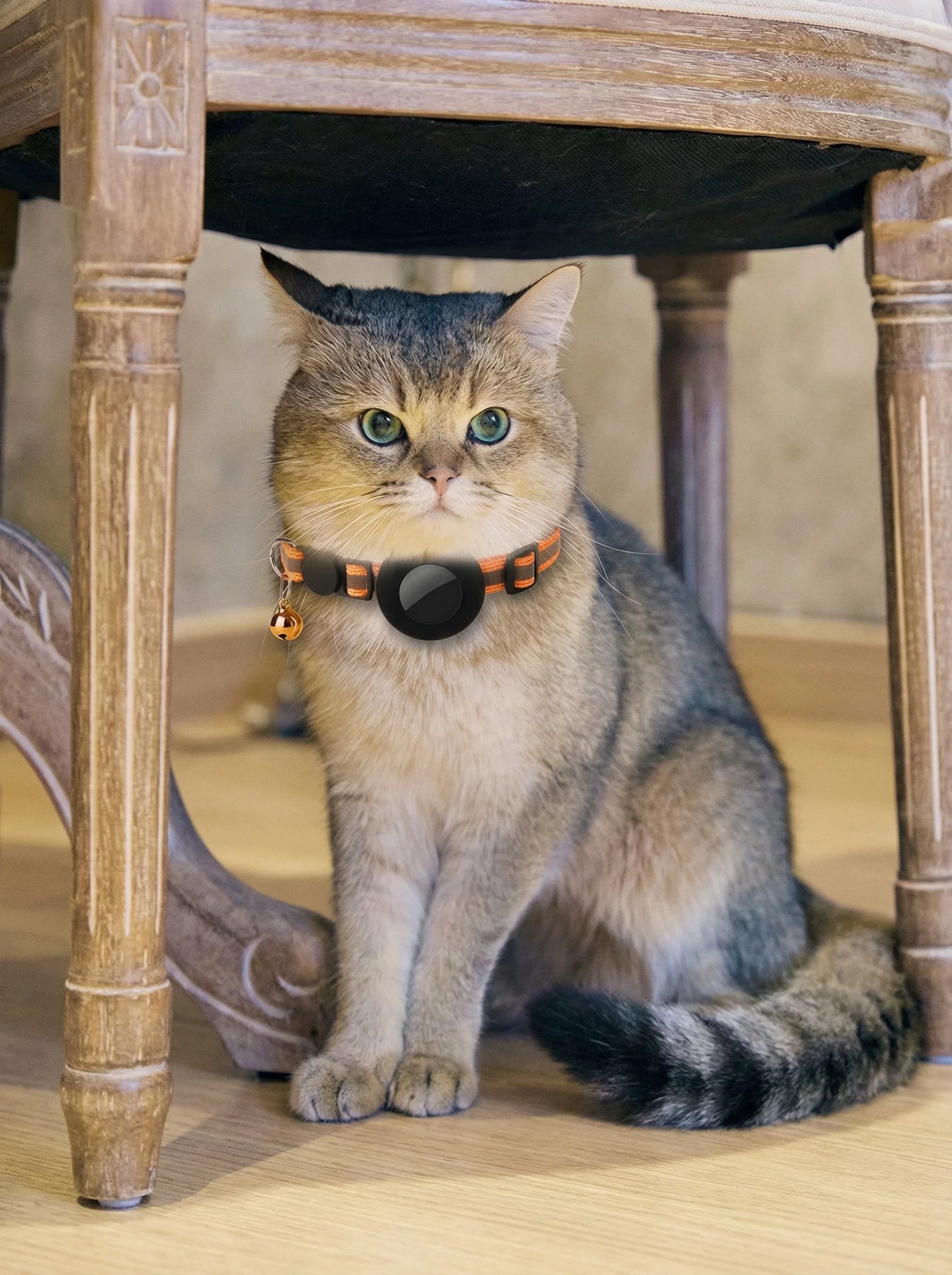Pet GPS Collar | Cat GPS Tracker-Collar-Lightsnest