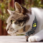 Cat Tracker Collar | GPS Cat Collar-GPS Collar-Lightsnest