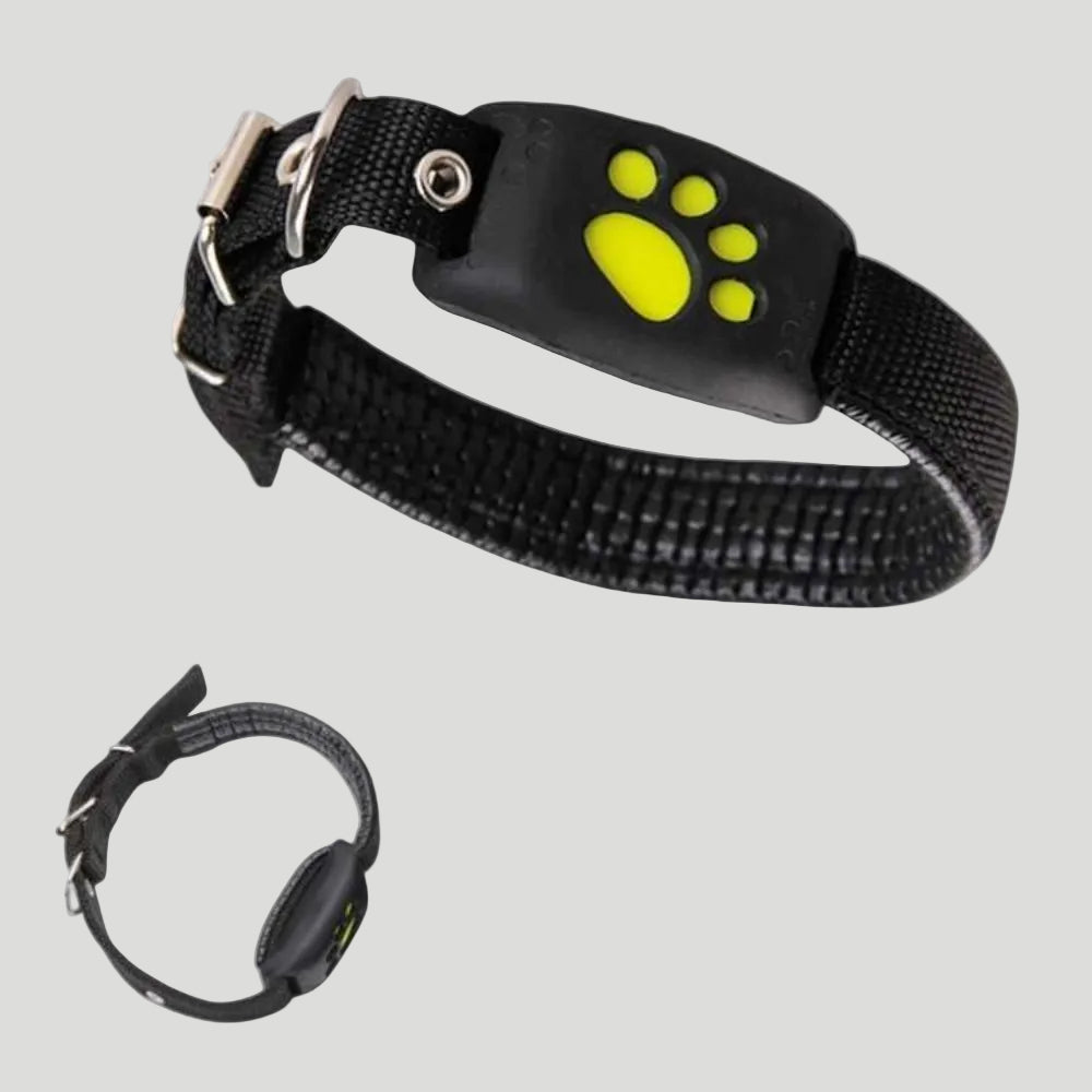 Cat Tracker Collar | GPS Cat Collar-GPS Collar-Lightsnest