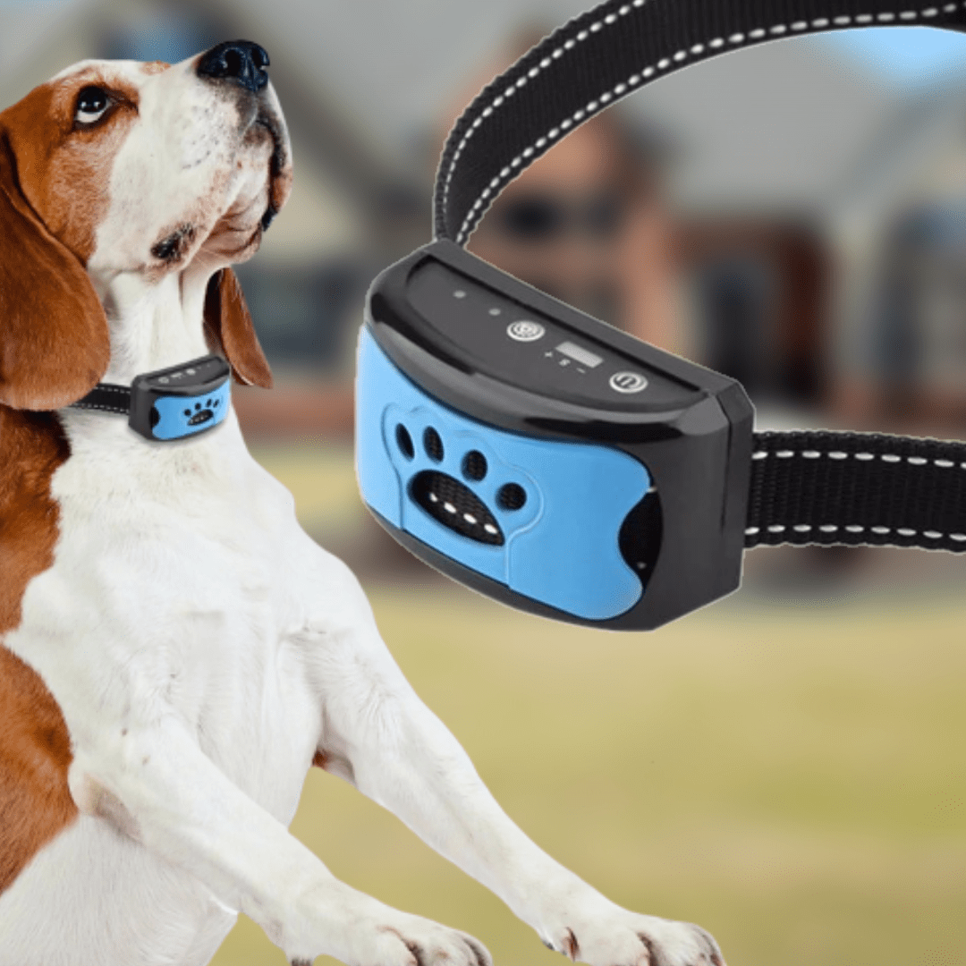 Dog Training Collar | Anti Bark E Collar-Anti Barking Collar-Lightsnest