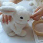 Plushie Toy Rabbit | Stuffed Animals-Toy-Lightsnest
