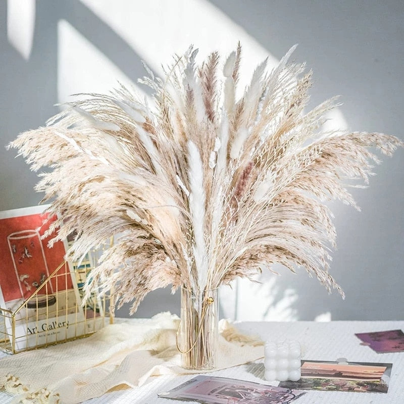 Pampas Grass | Dried Flower Arrangement-Pampas Grass-Lightsnest