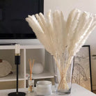 Pampas Grass | Dried Flower Arrangement-Pampas Grass-Lightsnest