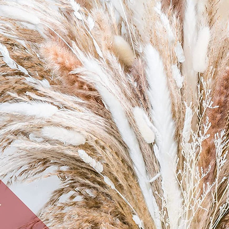 Pampas Grass | Dried Flower Arrangement-Pampas Grass-Lightsnest