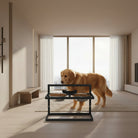 Raised Dog Bowls | Elevated Dog Slow Feeder-Pet Bowl-Lightsnest