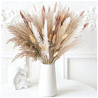 Pampas Grass | Dried Flower Arrangement-Pampas Grass-Lightsnest