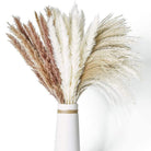 Pampas Grass | Dried Flower Arrangement-Pampas Grass-Lightsnest