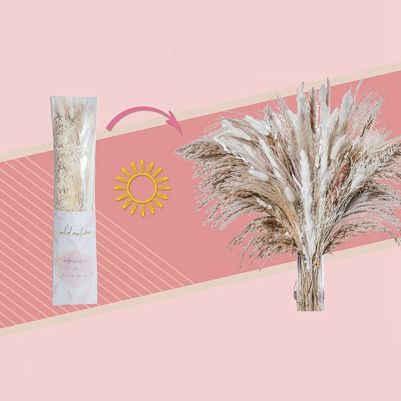 Pampas Grass | Dried Flower Arrangement-Pampas Grass-Lightsnest