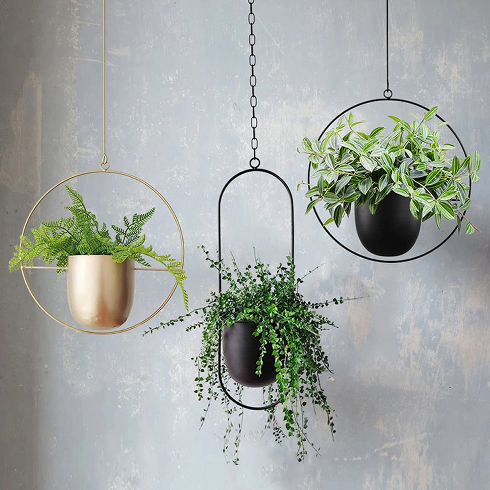 Flower Pot | Hanging Baskets-Flower Pot-Lightsnest