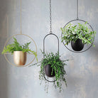 Flower Pot | Hanging Baskets-Flower Pot-Lightsnest