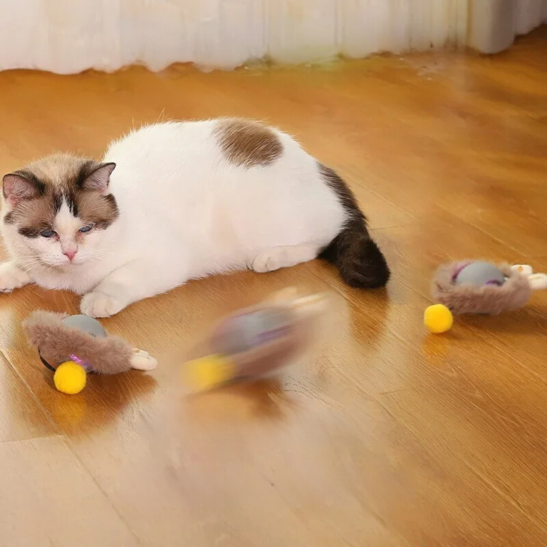 Interactive Cat Toy | Rolling Cat Ball Toy-Cat Toy-Lightsnest