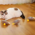 Interactive Cat Toy | Rolling Cat Ball Toy-Cat Toy-Lightsnest
