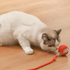 Interactive Cat Toy | Rolling Cat Ball Toy-Cat Toy-Lightsnest