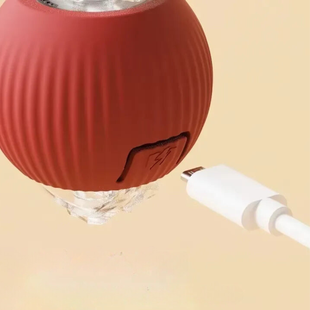 Interactive Cat Toy | Rolling Cat Ball Toy-Cat Toy-Lightsnest