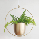 Flower Pot | Hanging Baskets-Flower Pot-Lightsnest