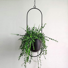 Flower Pot | Hanging Baskets-Flower Pot-Lightsnest